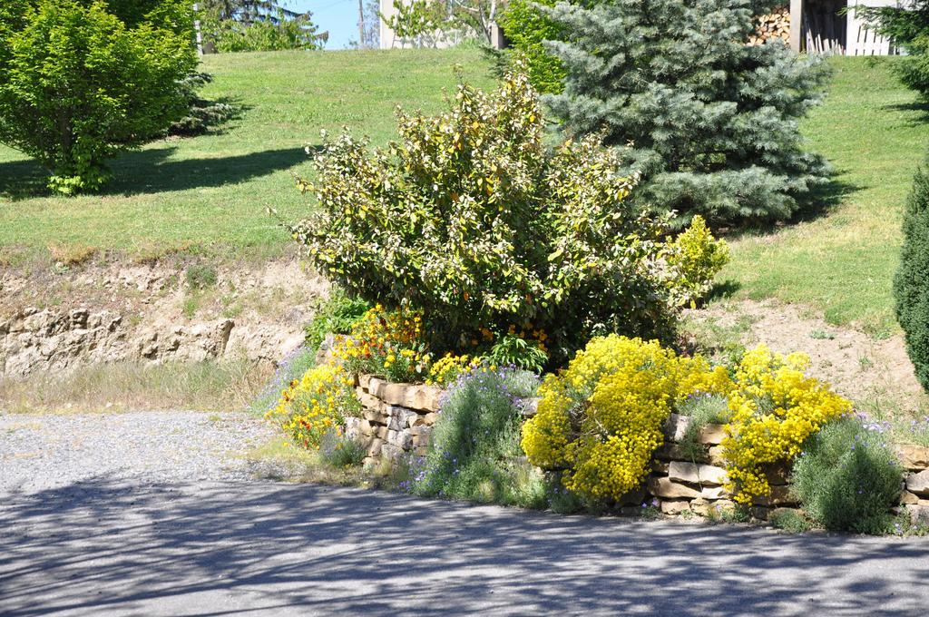Bed and Breakfast La Bergerie Pollionnay Exterior foto